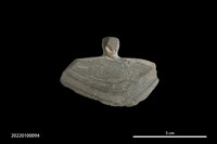 藏品(石刀)的圖片